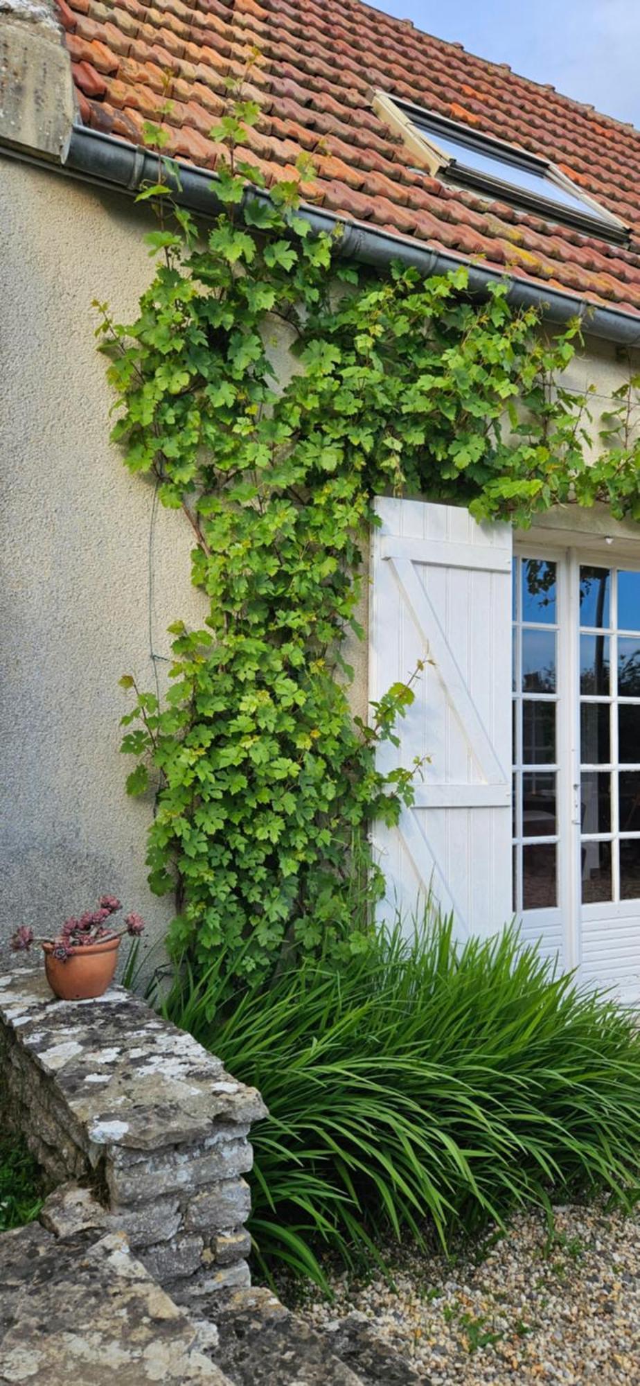 Villa La petite chouette Saint-Côme-de-Fresné Esterno foto